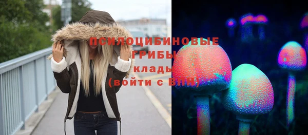 амфетамин Белокуриха