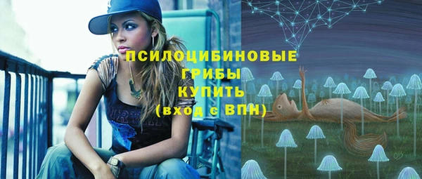 амфетамин Белокуриха